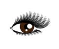 Long female eyelashes on a white background. Eye. Symbol. Vector Royalty Free Stock Photo